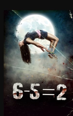 6-5=2 2014 Movie | Hindi Full Movie HDRip x264 [780MB]