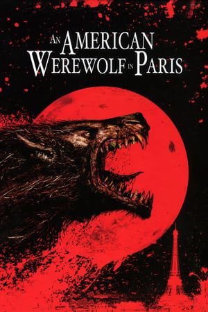 An American Werewolf in Paris 1997 Dual Audio | Hindi Full Movie BluRay [860MB]