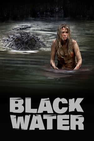 Black Water (2007) Dual Audio | Hindi Full Movie BluRay 300MB