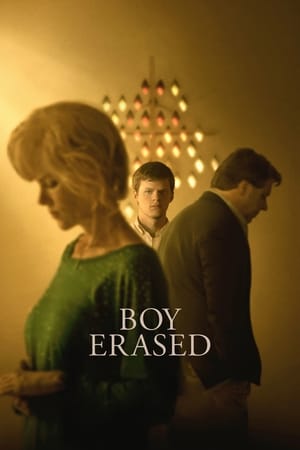 Boy Erased (2018) Dual Audio | Hindi Full Movie BluRay [900MB]