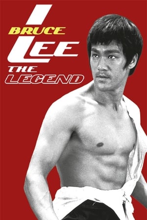 Bruce Lee the Legend 1984 Dual Audio | Hindi Full Movie HDTVRip [1GB]