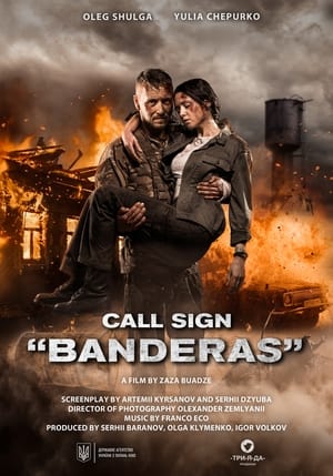 Call Sign Banderas (2018) Dual Audio HDRip | Hindi Full Movie – 480p