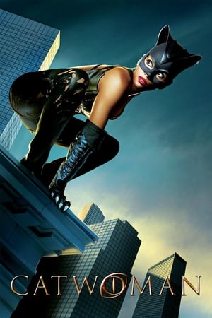 Catwoman (2004) Dual Audio | Hindi Full Movie BDRip [930MB]
