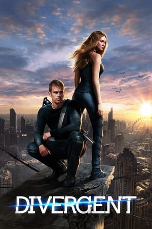 Divergent (2014) Dual Audio | Hindi Full Movie BluRay [1.3GB]