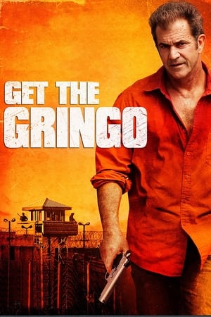 Get the Gringo (2012) Dual Audio | Hindi Full Movie BluRay 300MB