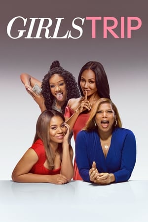 Girls Trip (2017) Dual Audio | Hindi Full Movie BluRay [1GB]
