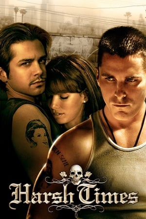 Harsh Times 2005 Dual Audio HDRip | Hindi Full Movie – 480p