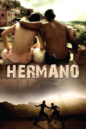 Hermano 2010 Dual Audio | Hindi Full Movie BluRay 300MB