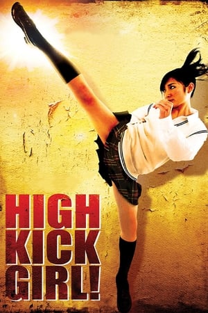 High Kick Girl (2009) 100mb Dual Audio movie Hevc BRRip Download