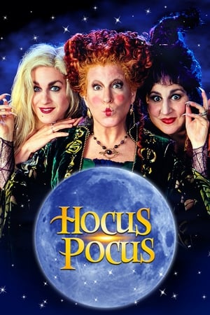 Hocus Pocus 1993 Dual Audio | Hindi Full Movie BluRay 320MB