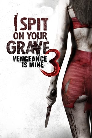 I Spit on Your Grave: Vengeance Is Mine (2015) Dual Audio HDRip | Hindi Full Movie – 480p