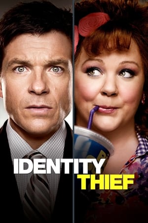 Identity Thief (2013) Dual Audio | Hindi Full Movie BluRay 350MB