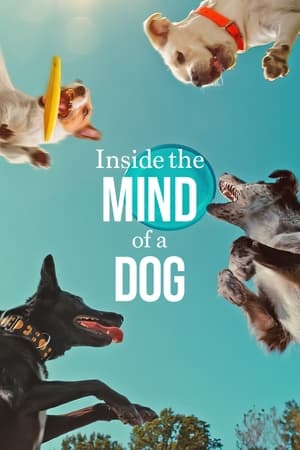 Inside the Mind of a Dog 2024 Dual Audio HDRip | Hindi Full Movie – 720p – 480p