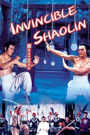 Invincible Shaolin 1978 Dual Audio | Hindi Full Movie BluRay [1.3GB]
