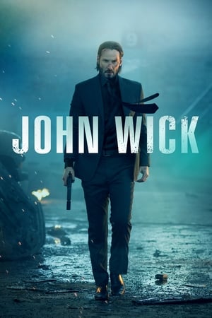 John Wick (2014) Dual Audio | Hindi Full Movie BluRay [900MB] ESubs