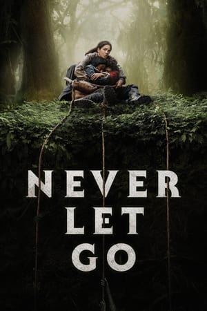 Never Let Go 2024 Dual Audio HDRip | Hindi Full Movie – 720p – 480p