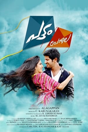 Pattam Pole (2013) ( – Malayalam) Dual Audio | Hindi Full Movie UnCut HDRip [1.2GB]