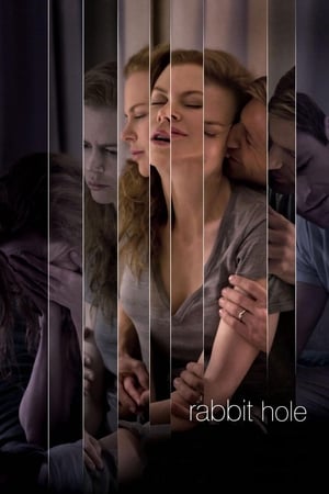 Rabbit Hole (2010) Dual Audio | Hindi Full Movie BluRay [750MB] ESubs