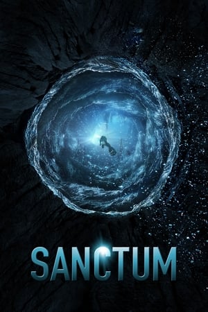 Sanctum (2011) Dual Audio | Hindi Full Movie BluRay [750MB]