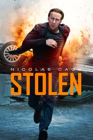 Stolen (2012) Dual Audio | Hindi Full Movie BluRay [800MB] ESubs