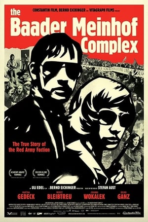 The Baader Meinhof Complex (2008) Dual Audio | Hindi Full Movie HDRip [1.2GB]