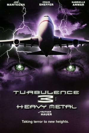 Turbulence 3 Heavy Metal 2001 Dual Audio | Hindi Full Movie Web-DL [1GB]