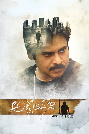 Yevadu 3 (Agnyaathavaasi) 2018 Dual Audio | Hindi Full Movie UnCut HDRip 450MB